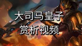 豹女视频,探寻神秘豹女族的传奇故事