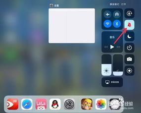 ipad视频没有声音,iPad视频无声音故障排查指南