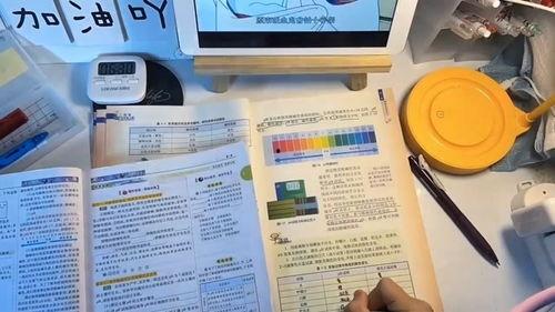 写作业视频,高效学习与作业完成指南