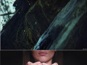 水与生命视频,揭秘水与生命奥秘的视觉之旅