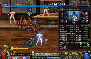 dnf男气功视频,视频揭秘高能输出与防御技巧