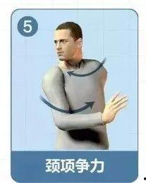 颈椎操视频教程八节,轻松缓解颈肩不适,告别僵硬与酸痛