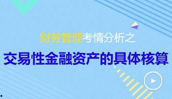 会计教学视频,理论与实践相结合的会计学习之旅